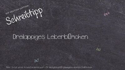 Schreibtipp Dreilappiges Leberblümchen