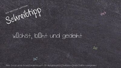 Schreibtipp wächst, blüht und gedeiht