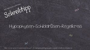 Anderes Wort für Hypophysen-Schilddrüsen-Regelkreis - Synonyme für Hypophysen-Schilddrüsen-Regelkreis