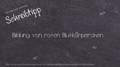 Schreibtipp Bildung von roten Blutkörperchen