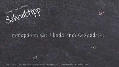 Schreibtipp rangehen wie Flocki ans Gehackte