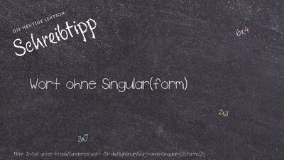Schreibtipp Wort ohne Singular(form)