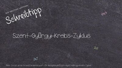 Schreibtipp Szent-Györgyi-Krebs-Zyklus
