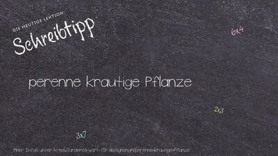 Schreibtipp perenne krautige Pflanze