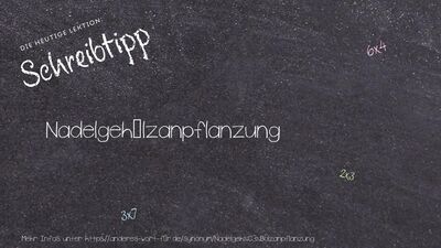 Schreibtipp Nadelgehölzanpflanzung