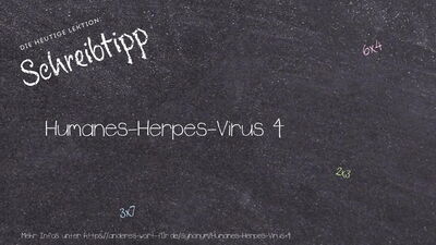 Schreibtipp Humanes-Herpes-Virus 4