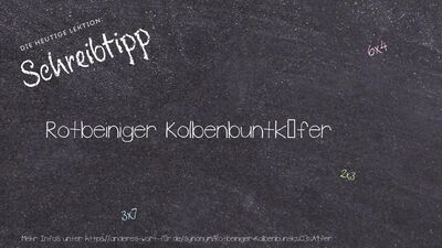 Schreibtipp Rotbeiniger Kolbenbuntkäfer