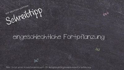 Schreibtipp eingeschlechtliche Fortpflanzung