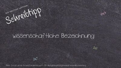 Schreibtipp wissenschaftliche Bezeichnung